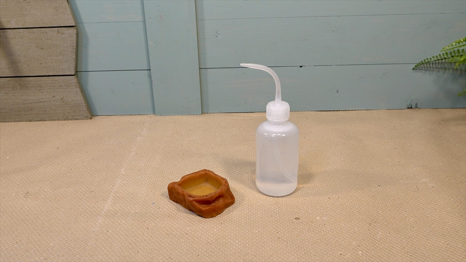 オカヤドカリのおすすめの水入れ（真水・淡水用）