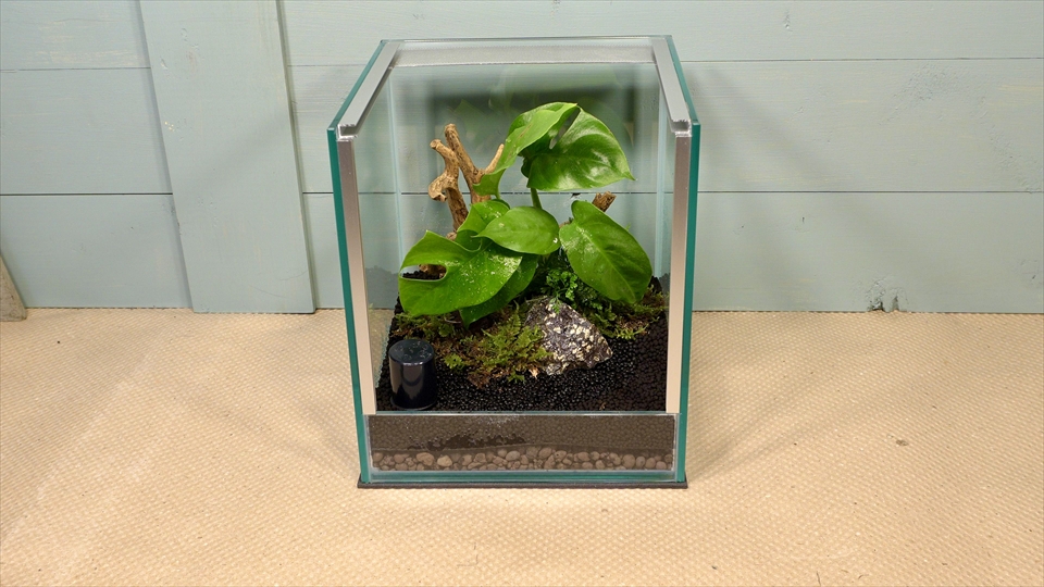 フライッシュマンアマガエルモドキ(グミガエル)用のレイアウトケージ(テラリウム・パルダリウム)を作りました。アルミの通気口をセット