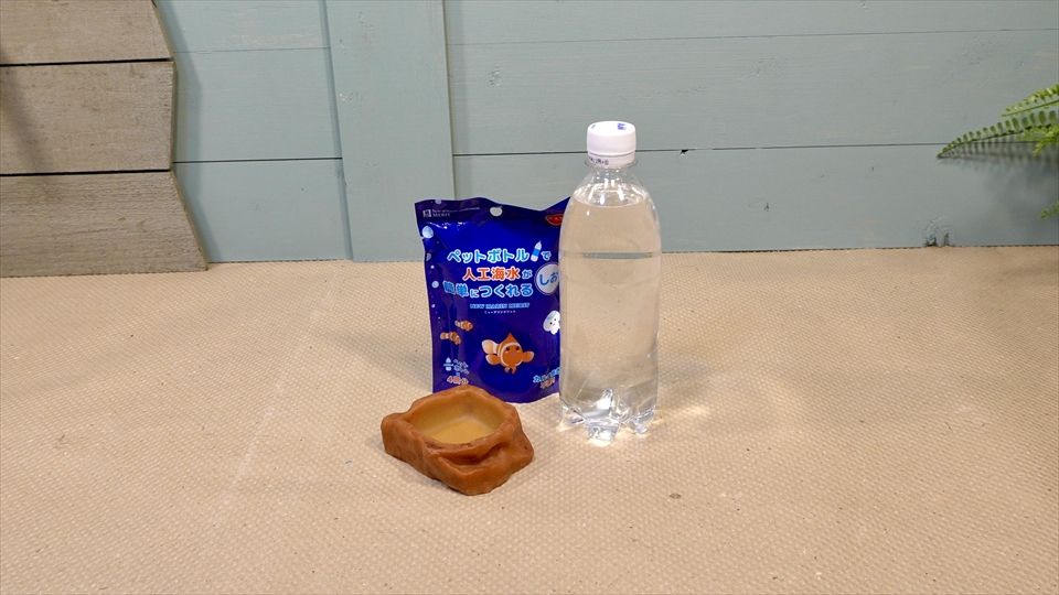 オカヤドカリのおすすめの水入れ（海水用）