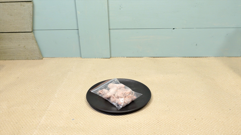 チャコガエルのおすすめのエサ・冷凍のピンクマウス