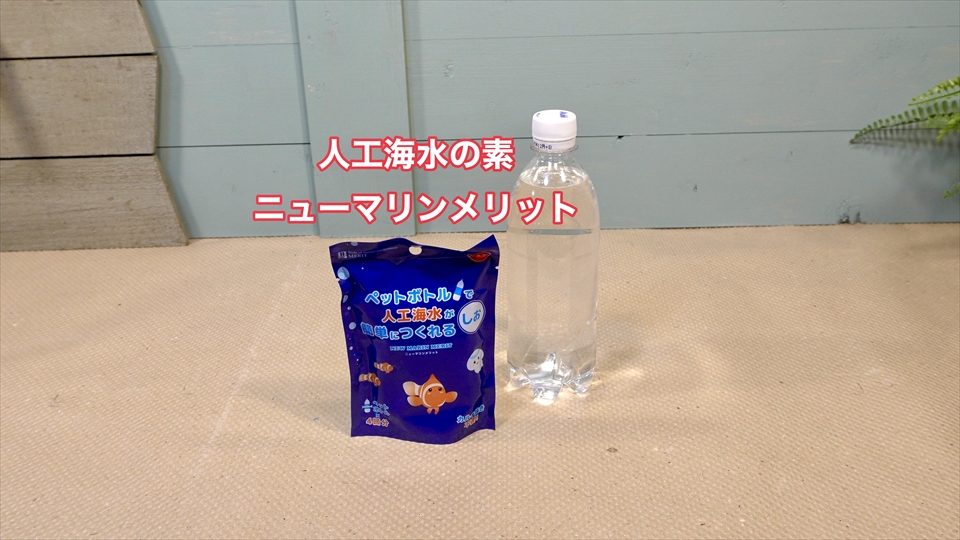 オカヤドカリの飼育におすすめの人工海水の素