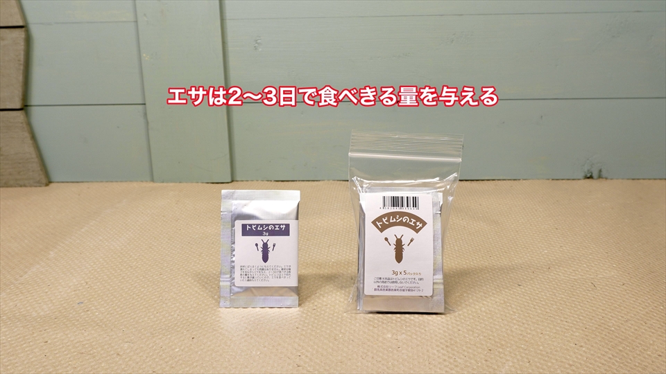 トビムシ繁殖キット(飼育セット)・トビムシのエサの頻度と量