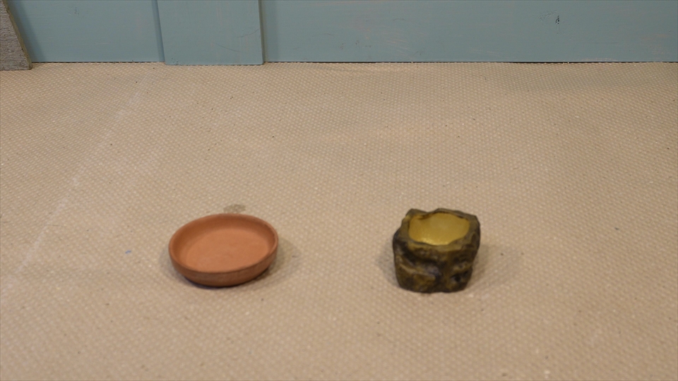 オカヤドカリのおすすめのエサ皿