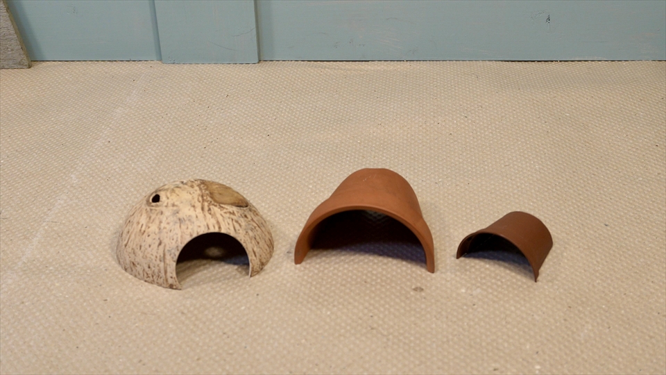 オカヤドカリの飼育時におすすめのシェルター