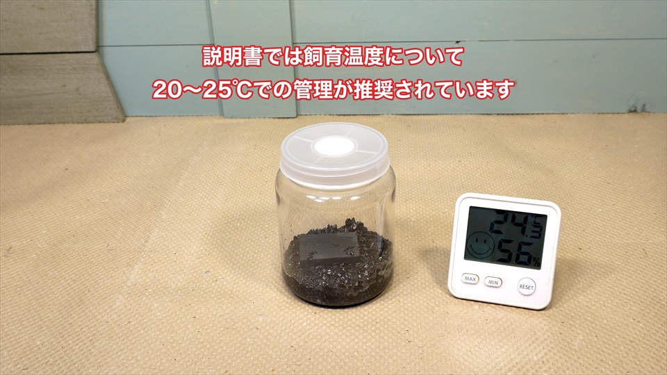 トビムシ繁殖キット(飼育セット)・飼育環境のセッティング・飼育温度