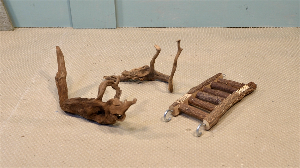 オカヤドカリの飼育時におすすめの流木・はしご