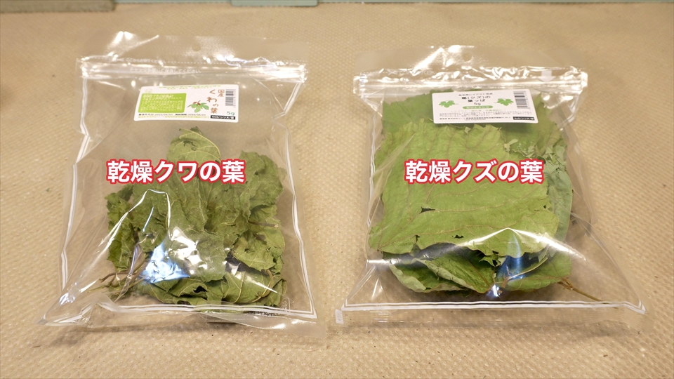 ワラジムシ・ダンゴムシ繁殖用のおすすめのエサ