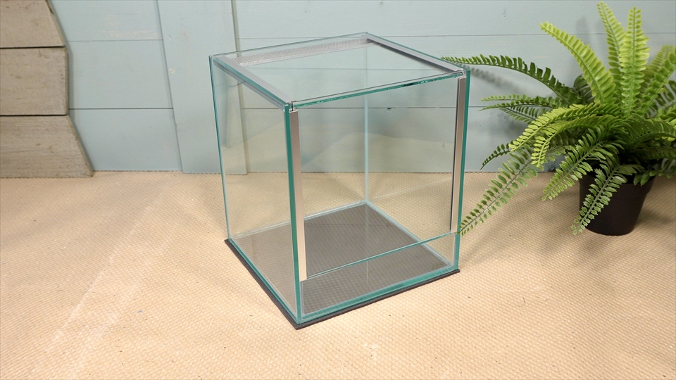 フライッシュマンアマガエルモドキ(グミガエル)用のレイアウトケージ(テラリウム・パルダリウム)を作りました。おすすめのガラスケージ