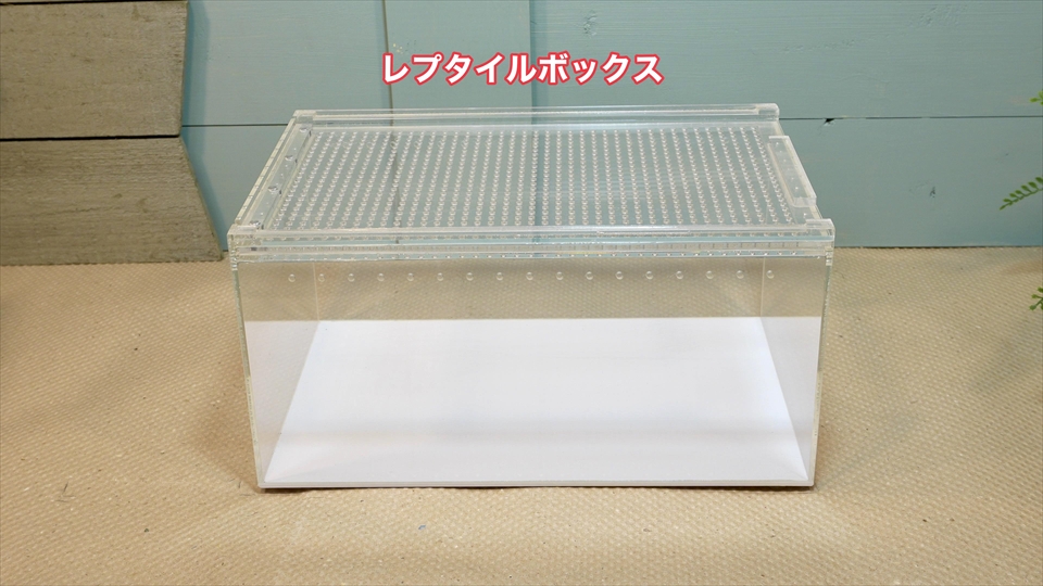 三晃商会レプタイルボックス