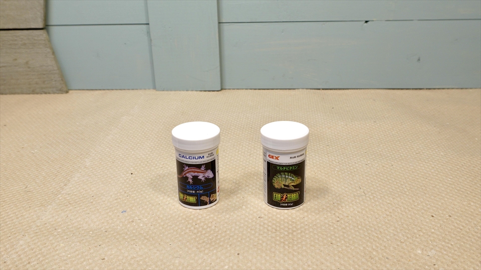 ペールアガマの飼い方・飼育用品・飼育環境・エサ(種類・量・頻度)についてまとめました・おすすめのエサ