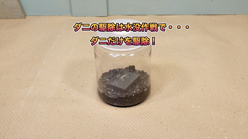 トビムシ繁殖キット(飼育セット)・ダニの駆除方法