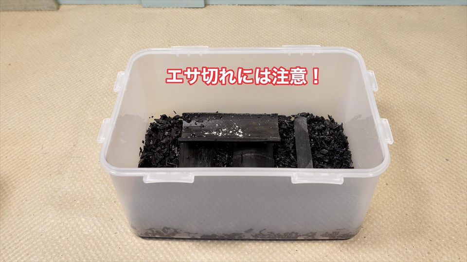 トビムシはエサ切れに注意