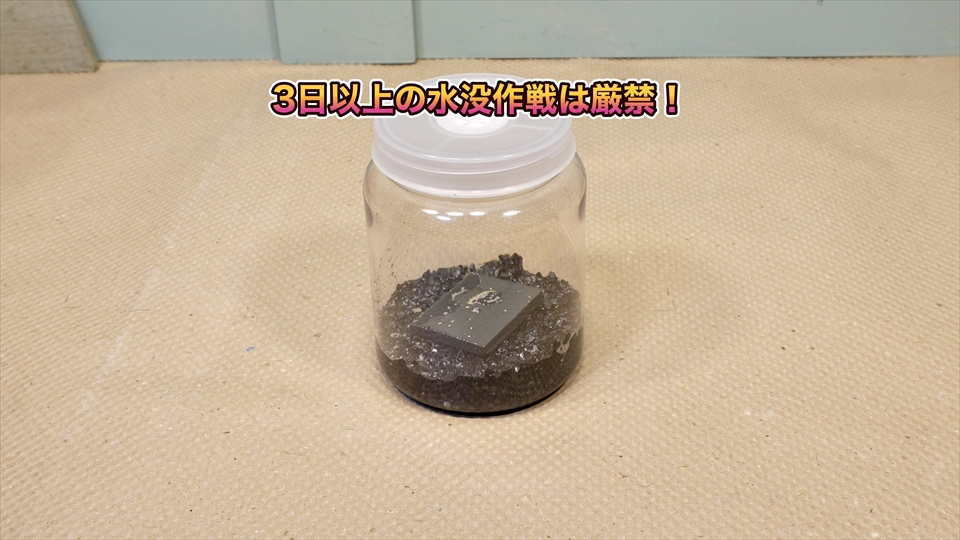 トビムシ繁殖キット(飼育セット)・ダニの駆除方法