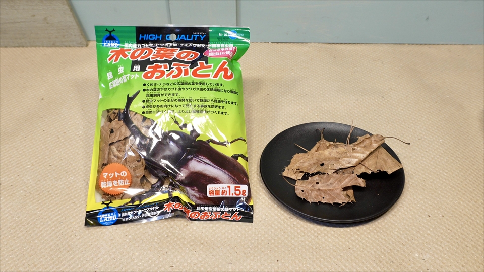 ワラジムシ・ダンゴムシの飼育環境・広葉樹の枯葉