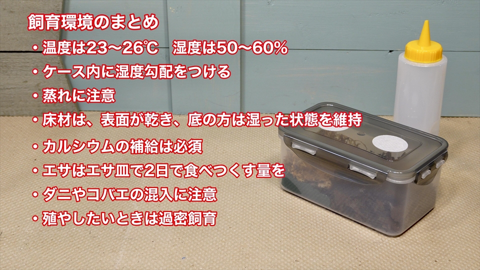 ワラジムシ・ダンゴムシ飼育環境のまとめ