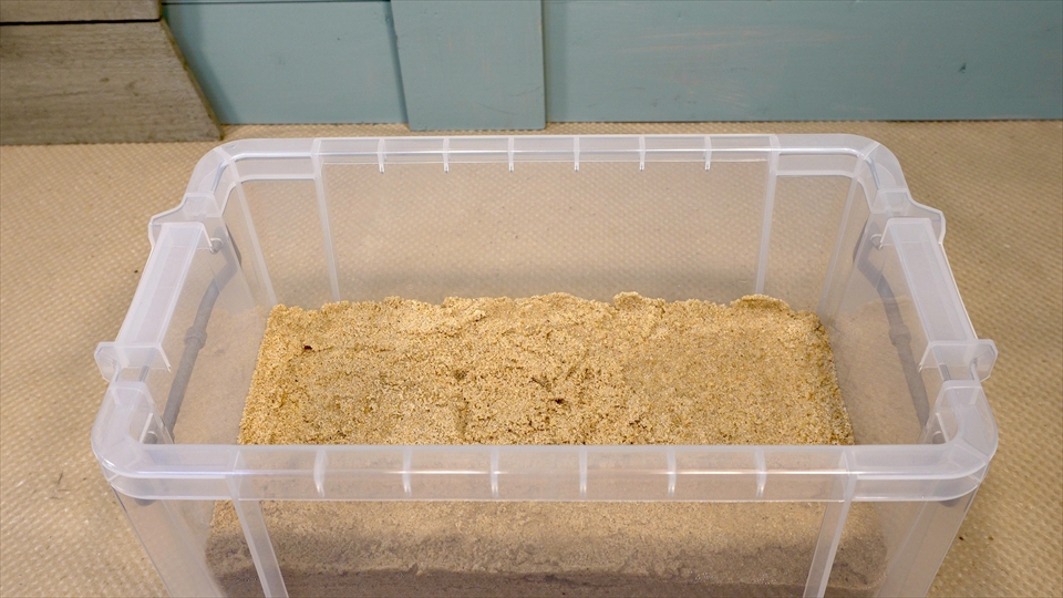 オカヤドカリの飼育環境のセッティング・珪砂を厚く敷きました