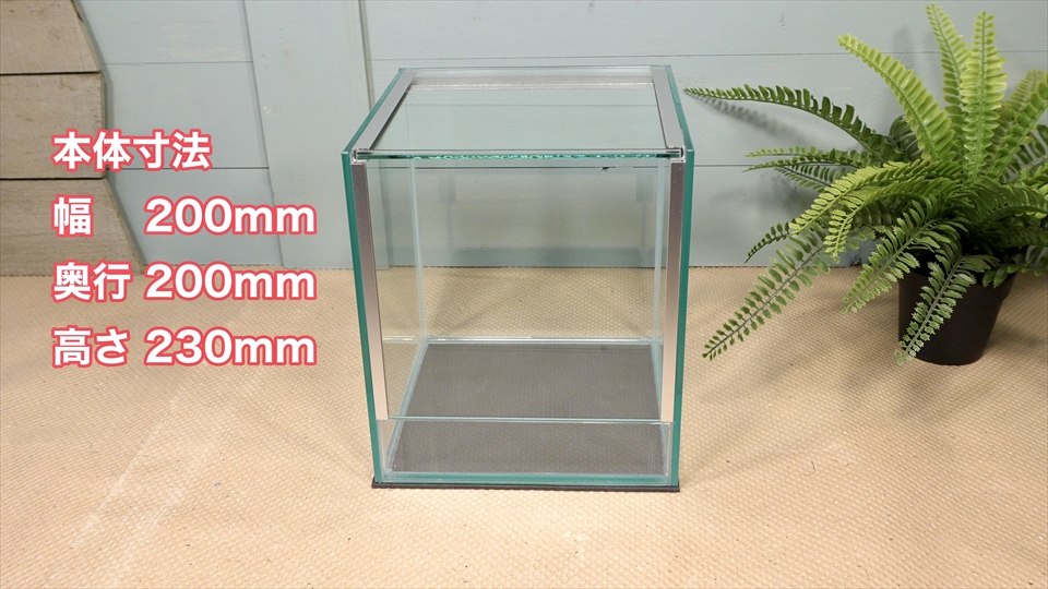 フライッシュマンアマガエルモドキ(グミガエル)用のレイアウトケージ(テラリウム・パルダリウム)を作りました。おすすめのガラスケージ