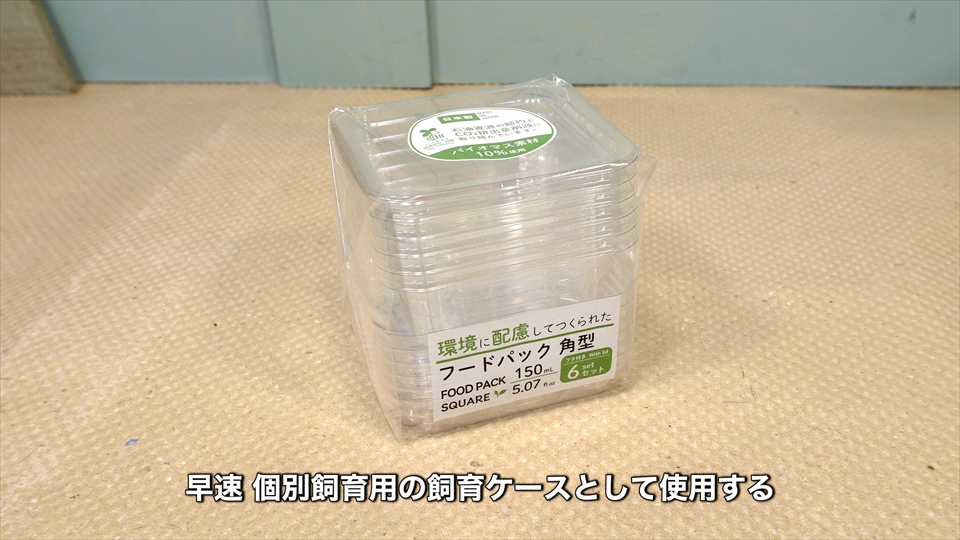 ヤエヤマサソリのベビーの個別飼育用の飼育ケースとして使用するフードパック