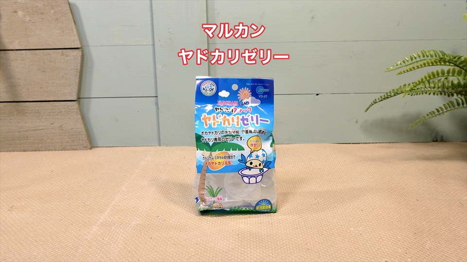 オカヤドカリのおすすめのエサ・マルカンのヤドカリゼリー