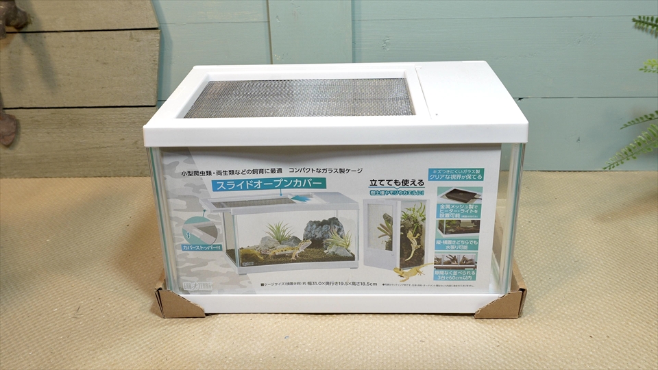 レプテリア ツインビュー 300開封